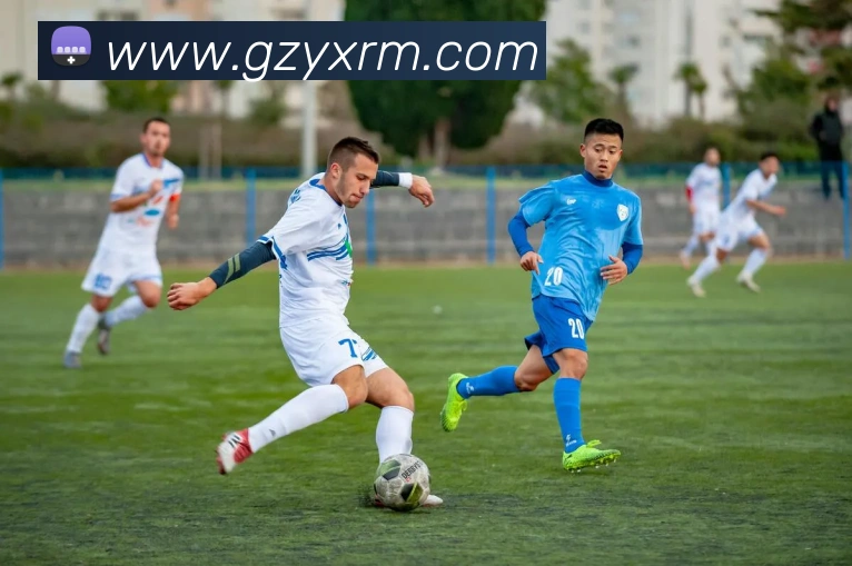 亚新体育发展历程